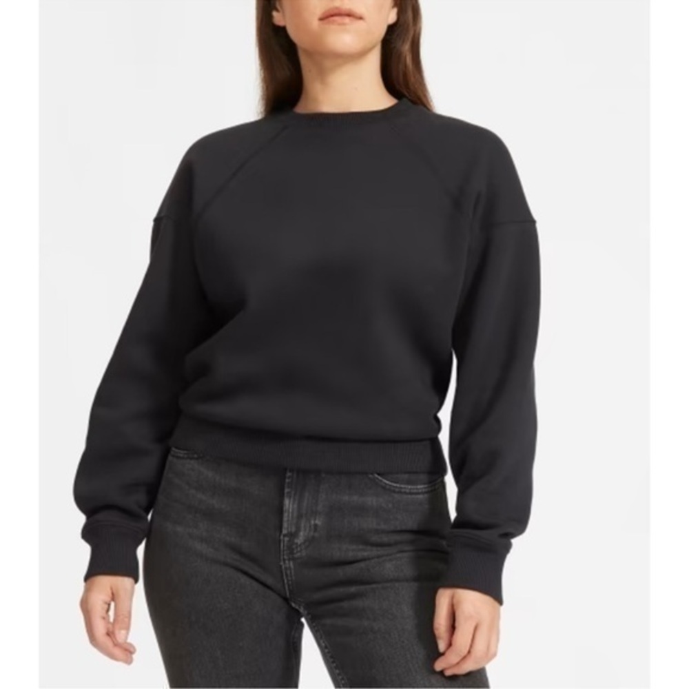 NWT Everlane The ReNew Fleece Oversized Crew